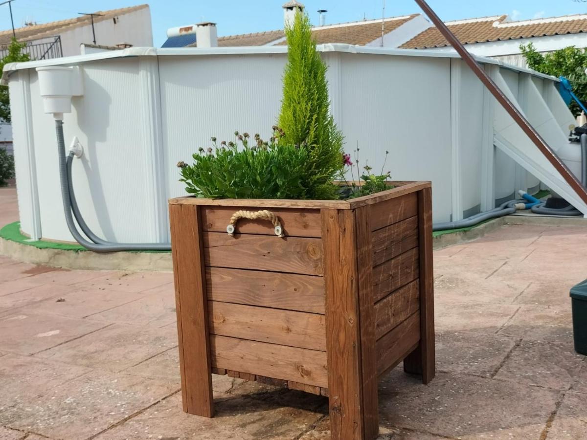 Casa Rural La Casa Del Conde Puebla de la Parrilla Εξωτερικό φωτογραφία
